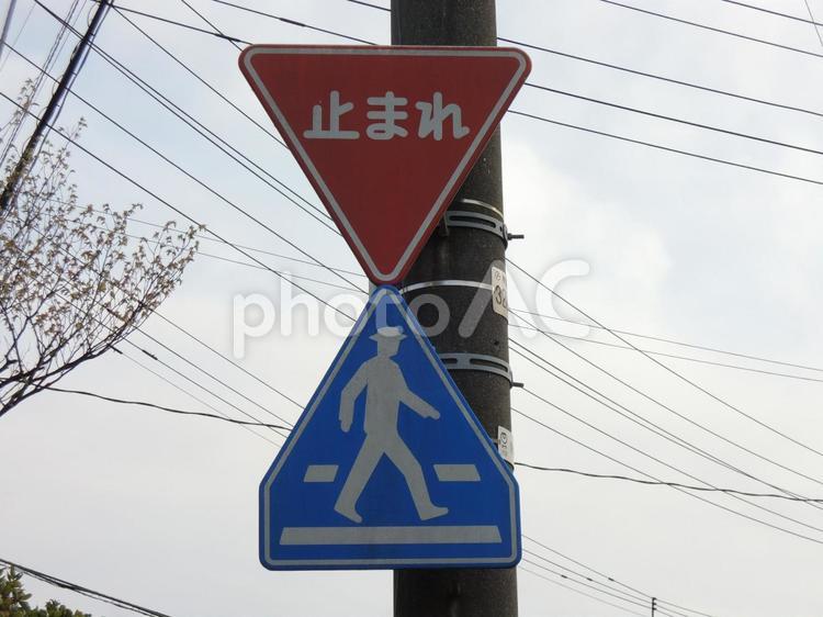 道路標識　一時停止と横断歩道 交通標識,危険,運転の写真素材