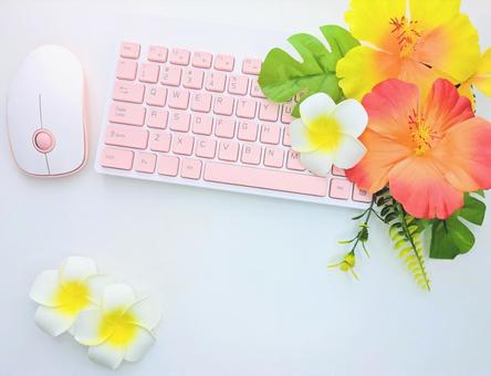 ディスク 夏のイメージ ② ディスク 夏のイメージ ② キーボード,マウス,ハイビスカスの写真素材
