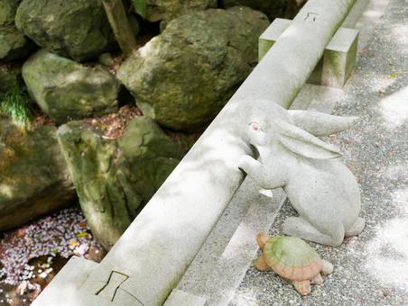 うさぎとかめの石像 明月院 うさぎとかめの石像 明月院 うさぎ,かめ,兎の写真素材