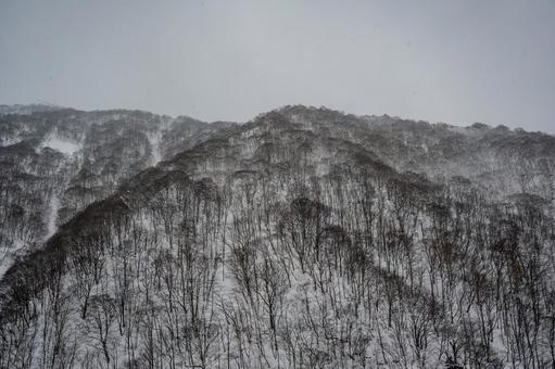 谷川岳ロープウェイから見た景色 谷川岳ロープウェイから見た景色の写真