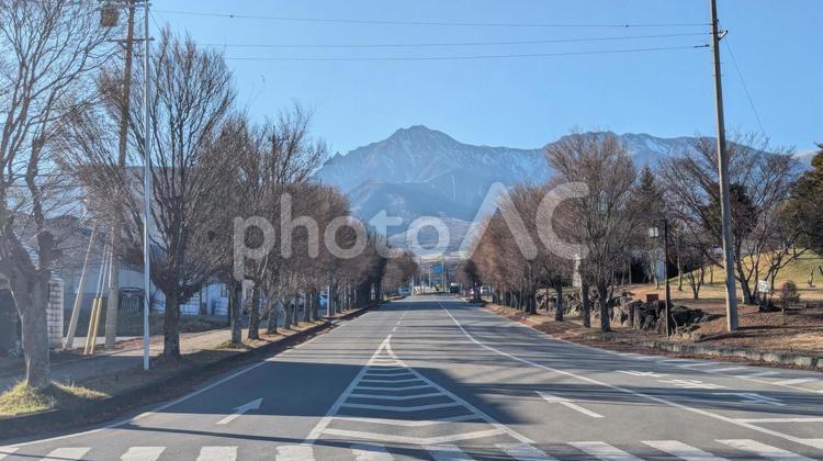 枯れ木の真ん中にそびえ立つ山 山,冬,枯れ木の写真素材