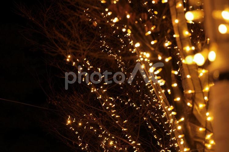 イルミネーション イルミネーション,クリスマス,ライトアップの写真素材
