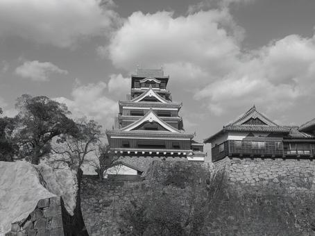 熊本城 熊本城の写真
