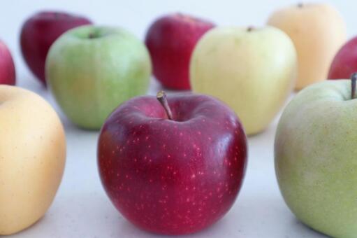 りんごいろいろ 林檎,果物,アップルの写真素材