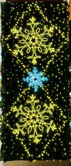 クリスマスのイルミネーション　壁 壁,街路樹,植え込みの写真素材