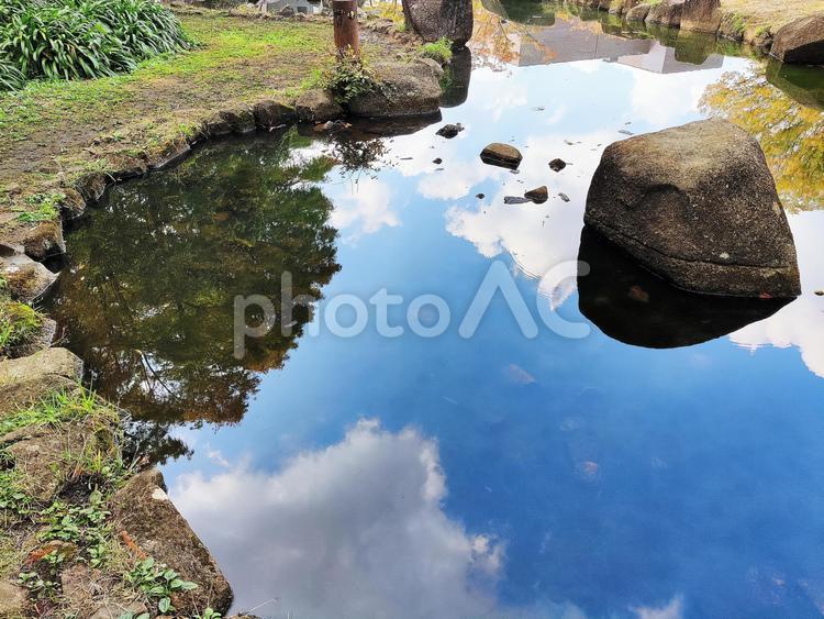 水面に映る空と木々 水面,池,水の写真素材