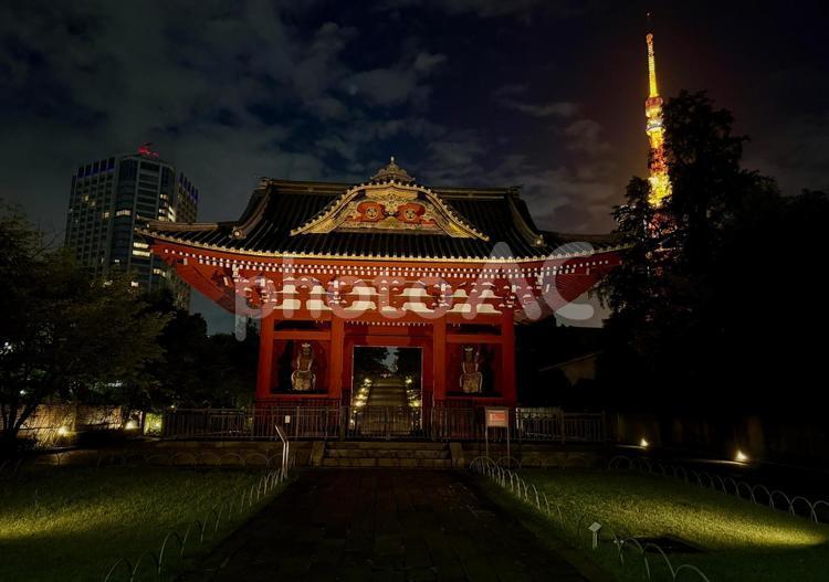 夜　光る東京タワーが芝公園から見える 天気,晴れ,東京タワーの写真素材
