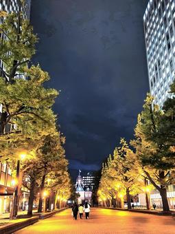 札幌の秋景色 札幌,秋景色,紅葉の写真素材