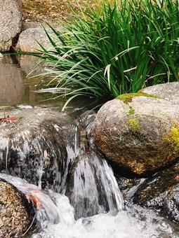 川2 川,自然,セラピーの写真素材