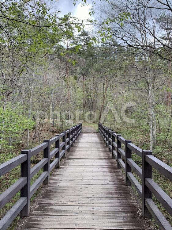 軽井沢 千ヶ滝 滝 日本 長野県 信州 トレッキング 絶景 軽井沢,千ヶ滝,滝の写真素材