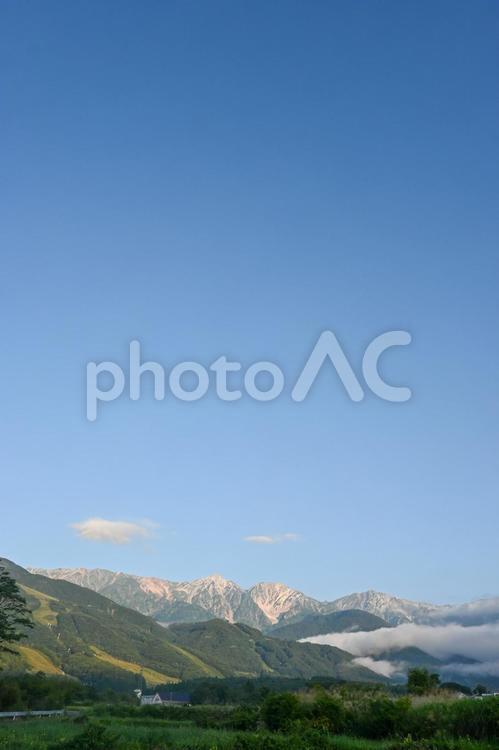 白馬　縦写真　背景 白馬,縦写真,空の写真素材
