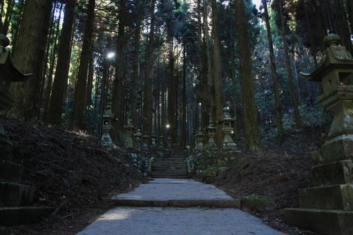 熊本県高森町　上色見熊野座神社　参道 上色見熊野座神社,神社,鳥居の写真素材