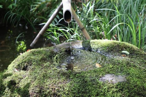 竹製のつくばいと苔の生えた石製の手水鉢 竹製のつくばいと苔の生えた石製の手水鉢の写真