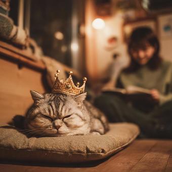 推しがかわいすぎて見守るだけ 推しがかわいすぎて見守るだけの写真