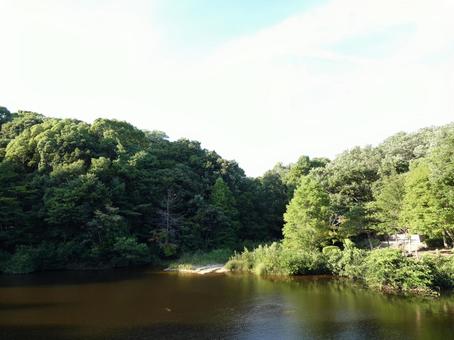 自然 自然 池,山,景色の写真素材
