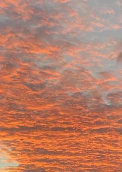 夕焼け空 夕焼け空の写真