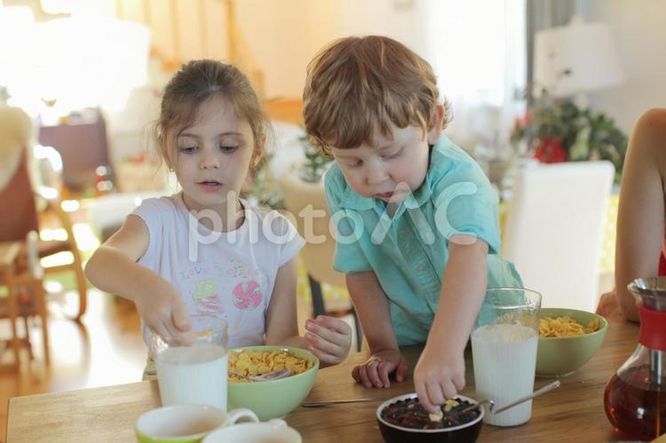 台所でコーンフレークを食べる男の子と女の子 子供,外国人,食事の写真素材