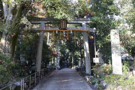 崇道神社　鳥居 崇道神社,鳥居,参道の写真素材