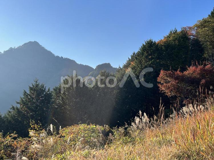 秋の御岳山③ 山,ハイキング,散策の写真素材