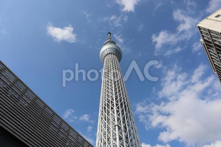 青空とスカイツリーとビルを見上げた風景 青空,スカイツリー,ビルの写真素材