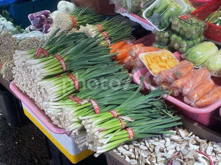 東門市場　八百屋　野菜　済州島　韓国 東門市場,八百屋,野菜の写真素材