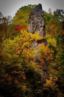 宮城県　鳴子峡の秋の風景 宮城,宮城県,大崎市の写真素材