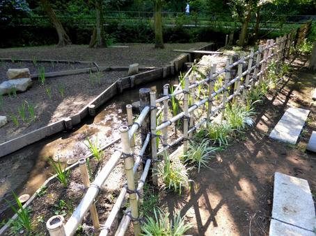 鎌倉中央公園の園内を分ける竹垣 鎌倉中央公園の園内を分ける竹垣 竹垣,生垣,竹の写真素材