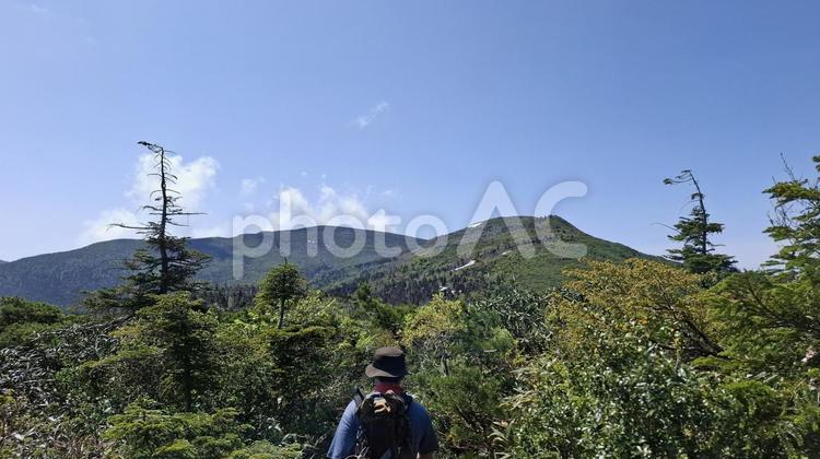 縦走路を歩く登山者 縦走路,登山者,登山道の写真素材