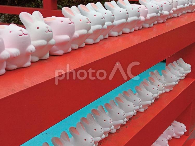 京都府　岡崎神社　うさぎのおみくじ 京都府,岡崎神社,神社の写真素材