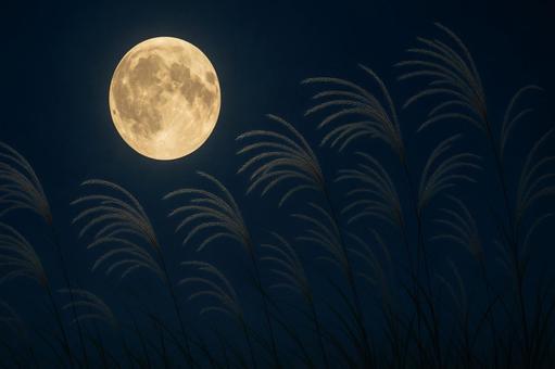 お月見の画像 神秘的な満月とススキ お月見の画像 神秘的な満月とススキの写真