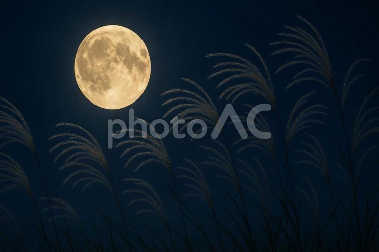 お月見の画像　神秘的な満月とススキ お月見,十五夜,満月の写真素材