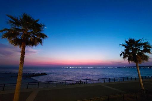 りんくうマーブルビーチ りんくう,りんくうマーブルビーチ,ビーチの写真素材