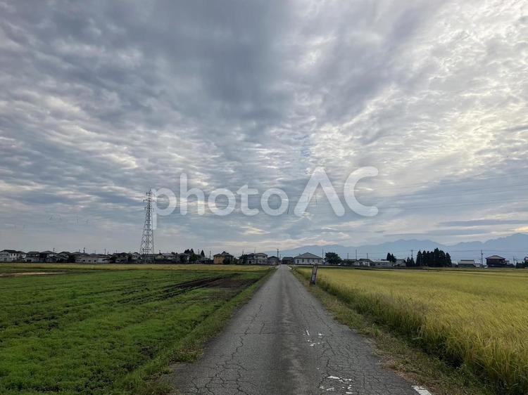 子供の登校班、田舎道 風景,空,幻想的の写真素材