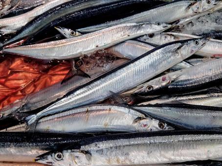 秋の味覚　サンマ 秋刀魚,魚,焼き魚の写真素材