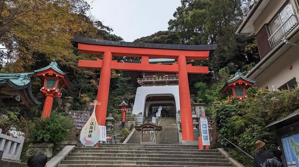 江島神社　鳥居 江の島,弁財天,日本三大弁財天の写真素材