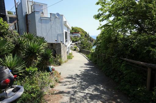 兵庫県赤穂市 赤穂御崎遊歩道 兵庫県赤穂市 赤穂御崎遊歩道 赤穂御崎遊歩道,遊歩道,歩道の写真素材