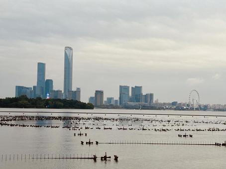 眺め町風景の写真