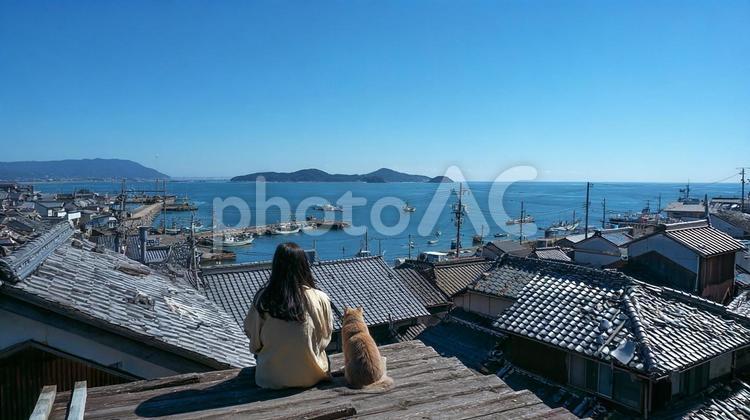 穏やかな海の景色と二人 女性,猫,後ろ姿の写真素材