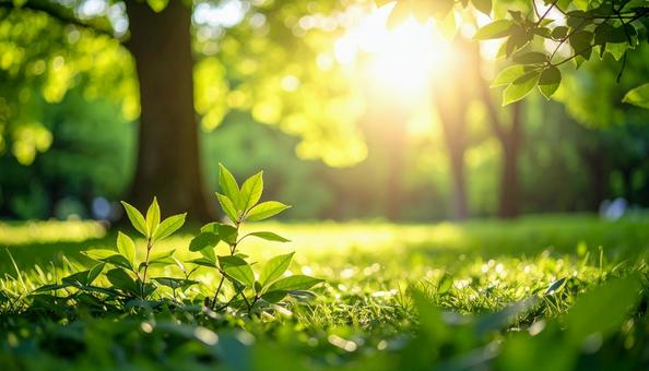 清々しいグリーン 清々しいグリーンの写真