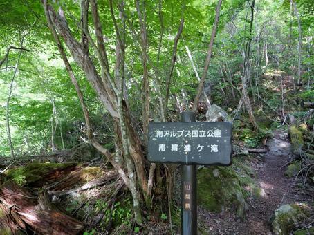 南精進ヶ滝 南精進ヶ滝の写真