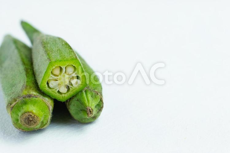 右にコピースペースのあるオクラ オクラ,野菜,夏野菜の写真素材