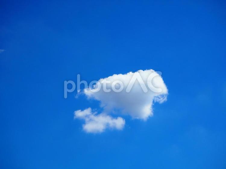 夏の空・青空と白雲 夏空,夏雲,夏の写真素材