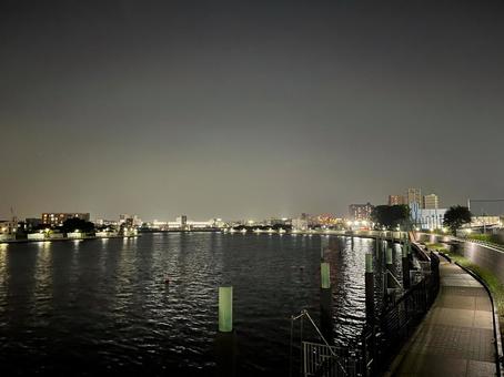 夜景 川と散歩道 夜景 川と散歩道の写真