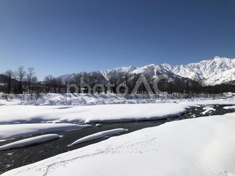 冠雪した北アルプスの山並み　長野県白馬村 冠雪,山並み,北アルプスの写真素材