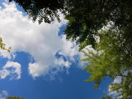 雲のある空 雲のある空の写真