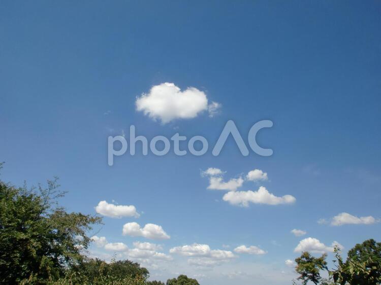 ７月中旬の空 ７月中旬の空,雲,空の写真素材