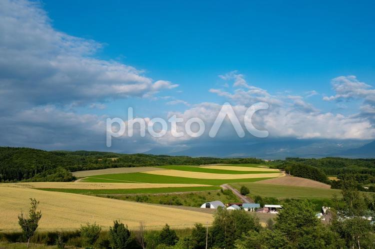 日の出公園展望台からの眺め 日の出公園,北海道,上富良野町の写真素材