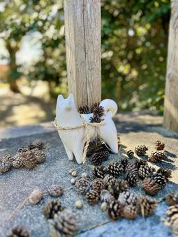 犬と松ぼっくり 犬,松ぼっくり,しっぺい太郎の写真素材