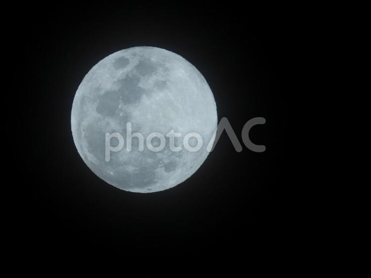 家の庭から撮った2月12日の満月 月,夜空,空の写真素材