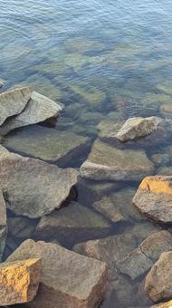 あおにすける あおにすける 海,波,波紋の写真素材